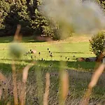 Hotel Waldgut Naturresort Bad Gottleuba