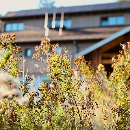 Waldgut Naturresort Hotel *