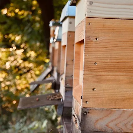 Waldgut Naturresort *