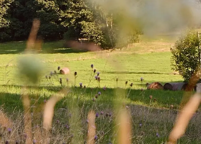 מלון Waldgut Naturresort Bad Gottleuba