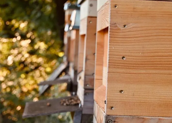 Waldgut Naturresort *